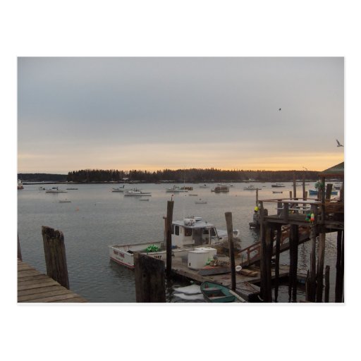 Harbor (Friendship, Maine) Postcard Zazzle