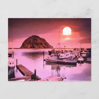 Harbor Hues Painting Postcard postcard