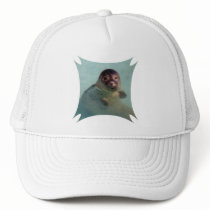 Harbor Seal Baseball Hat