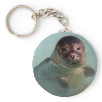 Harbor Seal Keychain