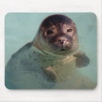 Harbor Seal Mouse Pad