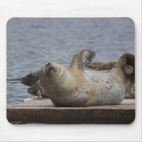 Harbor seal mousepad