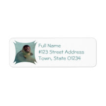 Harbor Seal Return Address Label