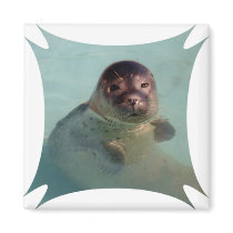 Harbor Seal Square Magnet