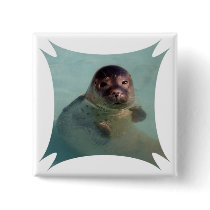 Harbor Seal Square Pin