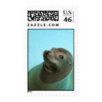 Harbor Seal Stamp stamps