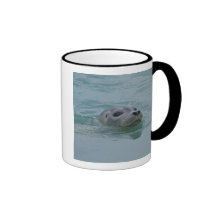 Harbor Seal swimming in Jokulsarlon glacial lake Coffee Mugs