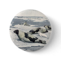 Harbor Seals buttons by Tchotchke Harbor Seals buttons