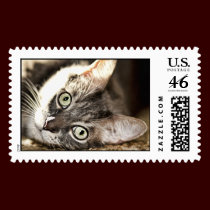 Hard Day Stamp stamps