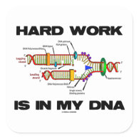 Hard Work Is In My DNA (DNA Replication) Square Sticker