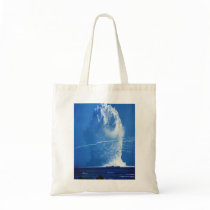 Hardtack Umbrella Underwater Nuclear Test 1958 Canvas Bags