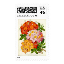 "Hardy Azaleas" by Sir Joseph Paxton Postage Stamps