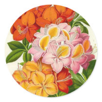 "Hardy Azaleas" by Sir Joseph Paxton stickers