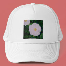 HARDY PINKS hats