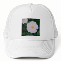HARDY PINKS hats