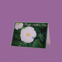 HARDY PINKS MOTHER'S DAY cards by dequilla HARDY PINKS MOTHER'S DAY cards