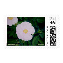 HARDY PINKS POSTAGE STAMP
