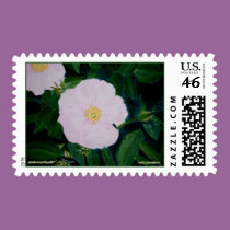 HARDY PINKS postage by dequilla HARDY PINKS postage