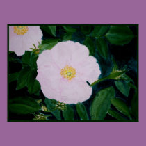 HARDY PINKS posters by dequilla HARDY PINKS posters