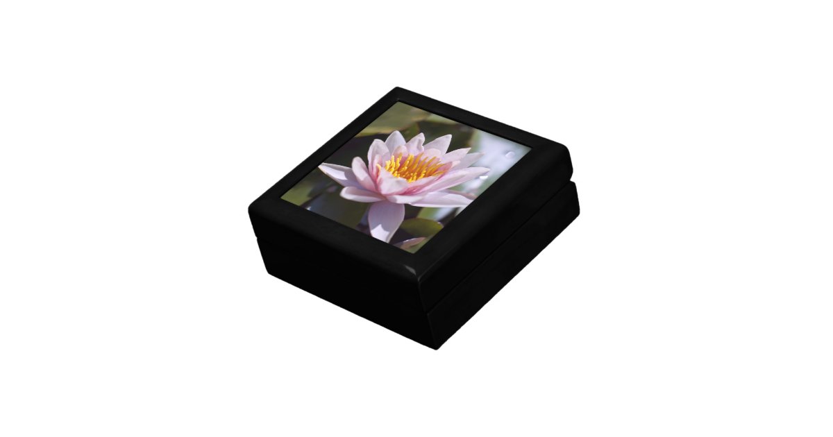Hardy Water Lily Gift Box Zazzle