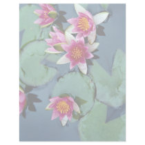 Hardy water lily, red, Nymphaea laydekeri Custom Letterhead