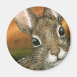hare 15 Round Magnet