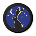 Hare at Twilight magnets
