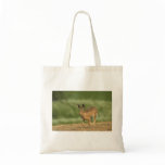Hare Bag