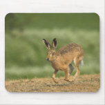 Hare Mousepad