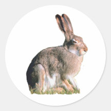 Hare Sticker