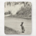 Hare today mousepads