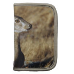 Hare  Wallet Folio Planner