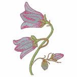 Harebell