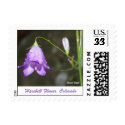 Harebell Flower postage by djd707 Harebell Flower postage