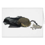 HaremHatNecklace110510 Cards