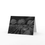 Hares at Night Greeting Cards