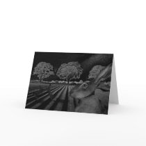 Hares at Night cards by nightsky Hares at Night cards