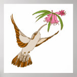Harlan Hummingbird Posters