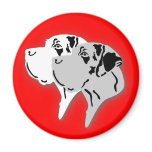 Harlekin and Merle Dane Heads magnets