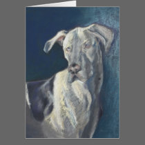 Harlequin Great Dane Card cards