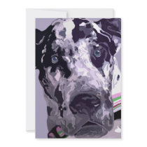 Harlequin Great Dane Card-great price! Invitations