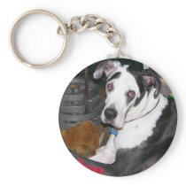Harlequin Great Dane Key Chains