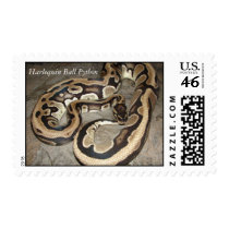 Harlequin, Harlequin Ball Python postage