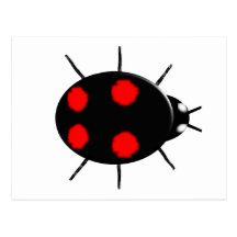 Harlequin Ladybird Postcard