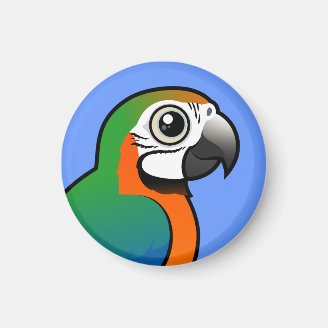 Harlequin Macaw Round Magnet