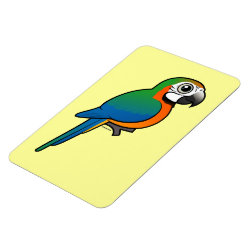 Harlequin Macaw 4