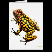 Harlequin Poison Dart Frog Card