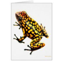 Harlequin Poison Dart Frog Card