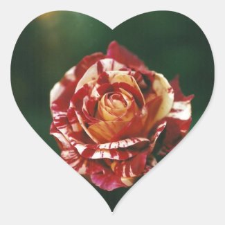 Harlequin Rose Heart Sticker