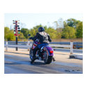 Harley at the Strip posters